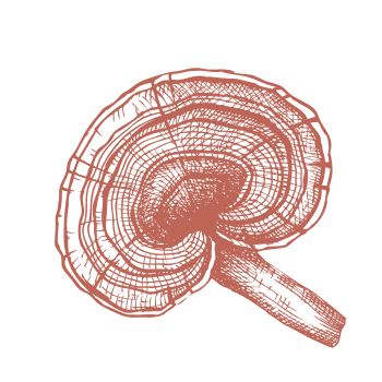 Vráťte sa k tradíciám a posilnite svoj imunitný systém