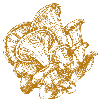 Jedinečná prírodná podpora pre posilnenie tela a mysle