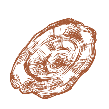 Urobte krok k vitalite a sile