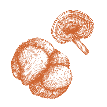 Sila a energia z prírody