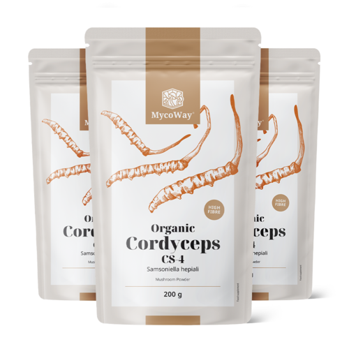 3x BIO Cordyceps CS-4 v prášku, spolu 600 g