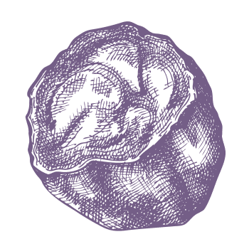 Tajomstvo prírody pre vyvážený život